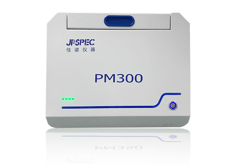 PM 300