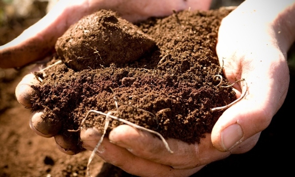 助力污染土壤修复，推动土壤资源有序利用